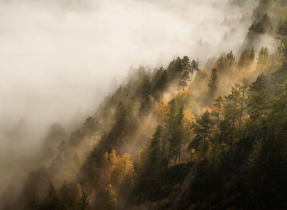 туман. осень., Марина Фомина