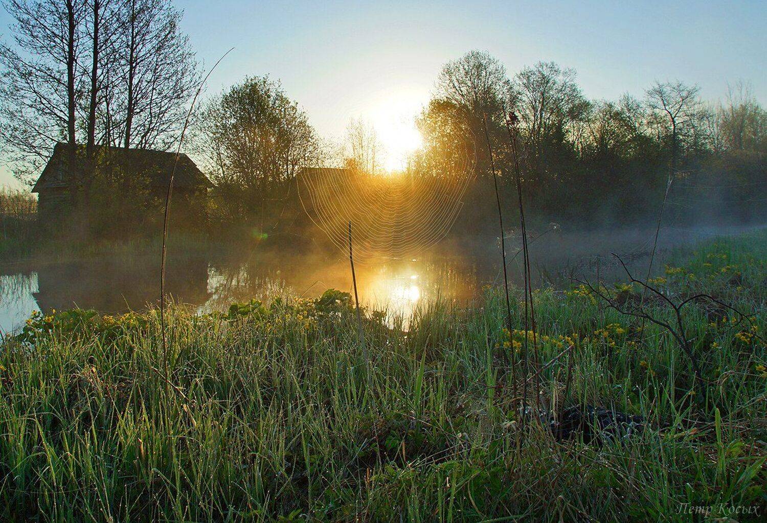 , Петр Косых