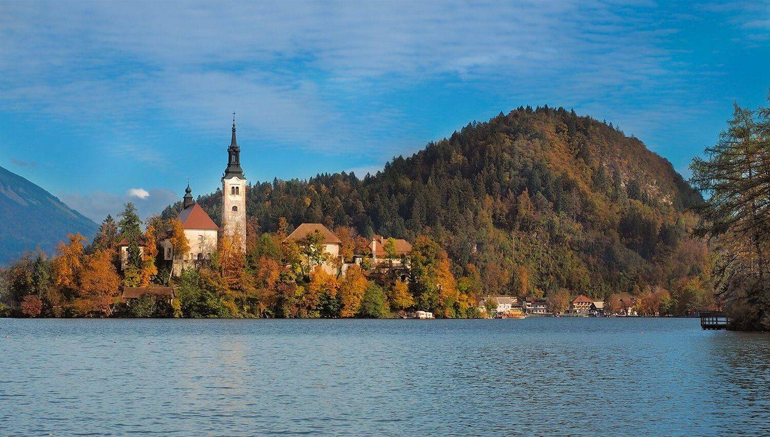 , Игорь Дубровский