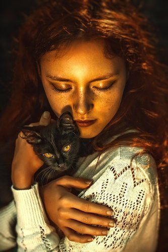 Черный кот
