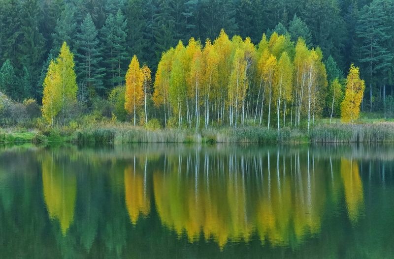Зеркальная осень фото превью