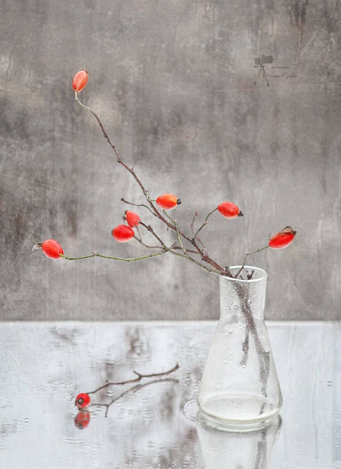 дождь,окно,шипочник, Инна Сухова