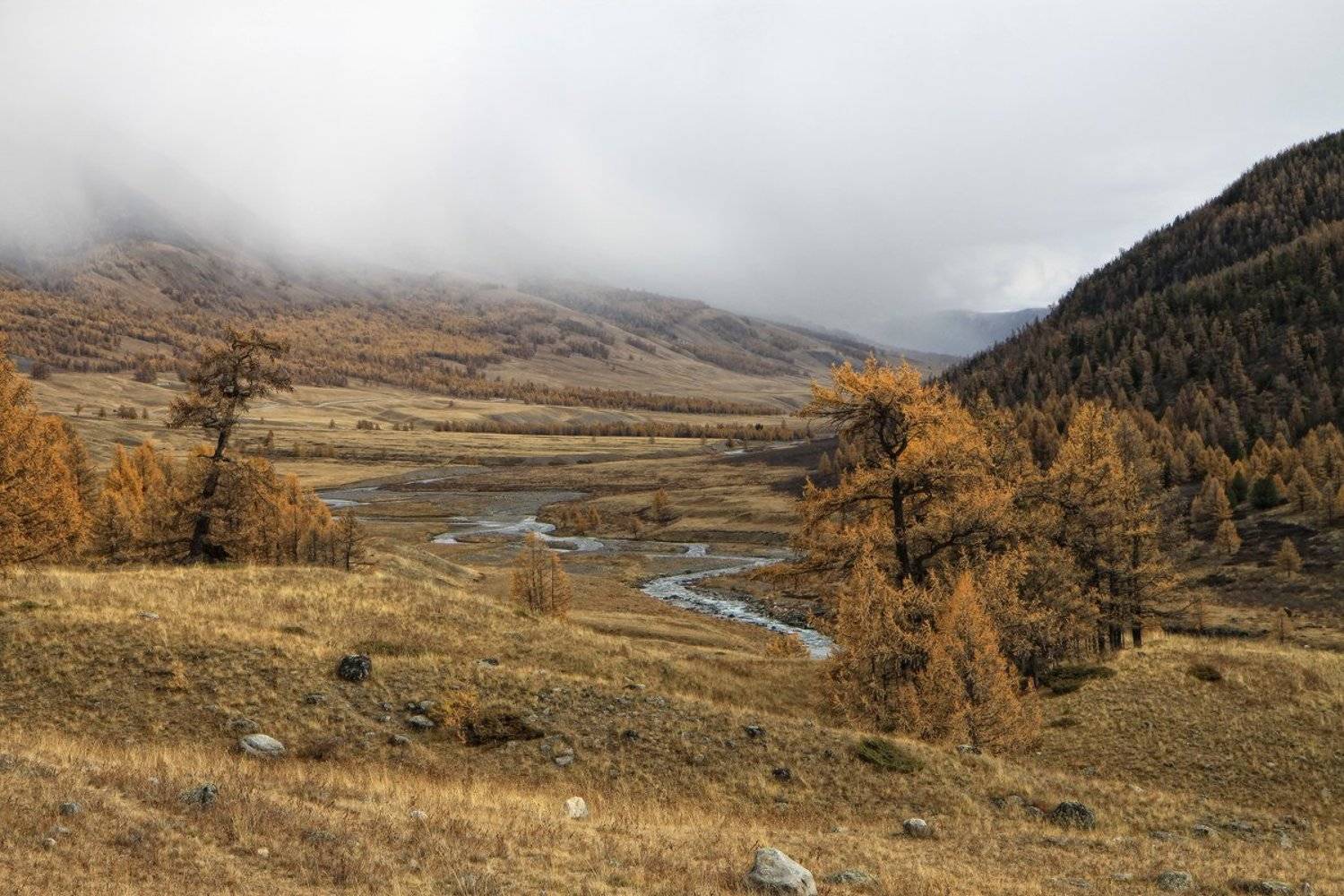 , Галина Хвостенко