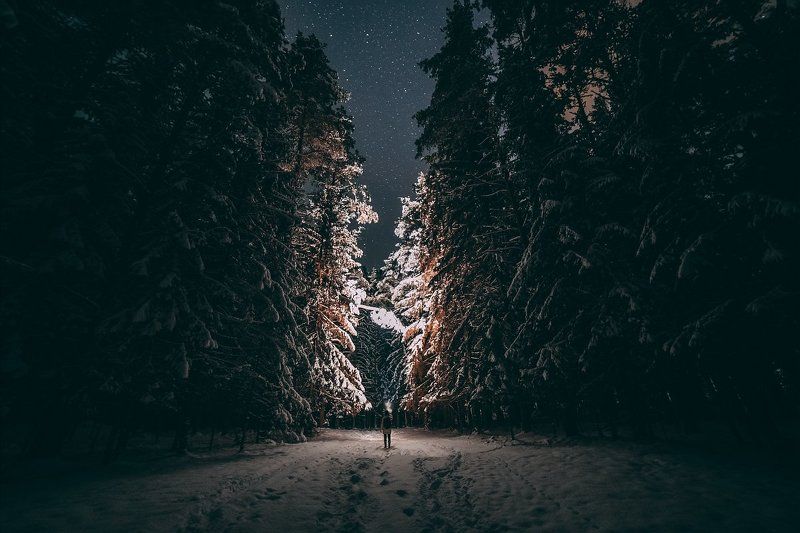 ночь, звезды, лес, дорога, свет, человек, снег, зима, природа, красота Путешествие в сказку фото превью