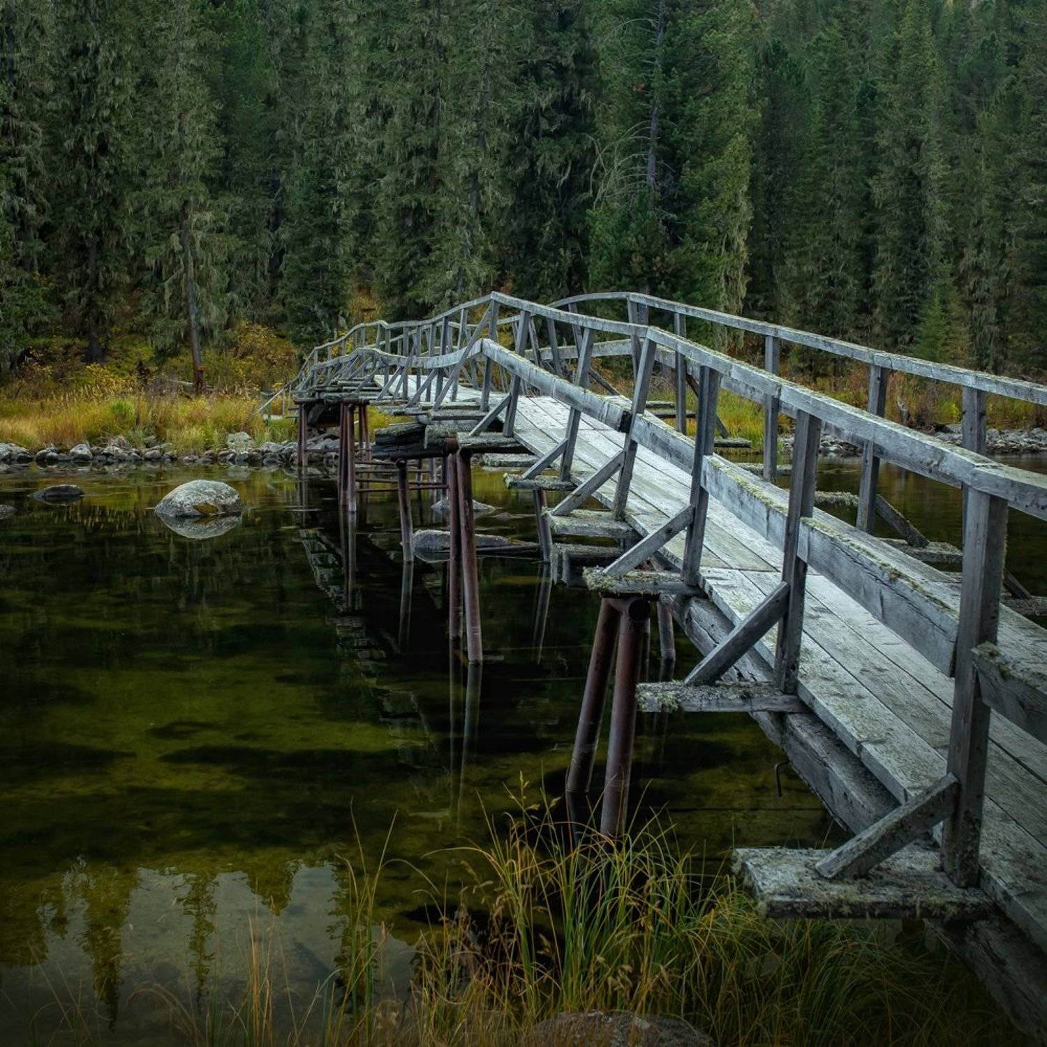 , Ратушнова-Осинцева Арина