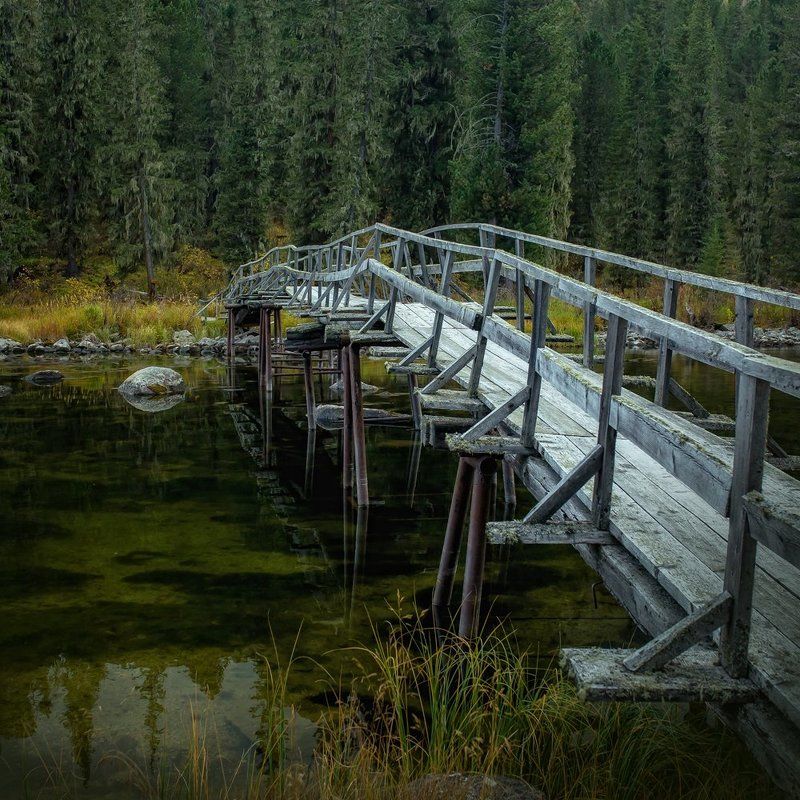 Там леший бродит фото превью