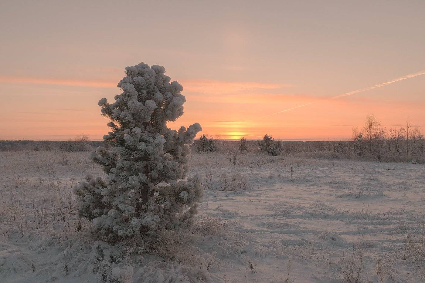 печора,коми,север,ноябрь,закат, Игорь Подобаев