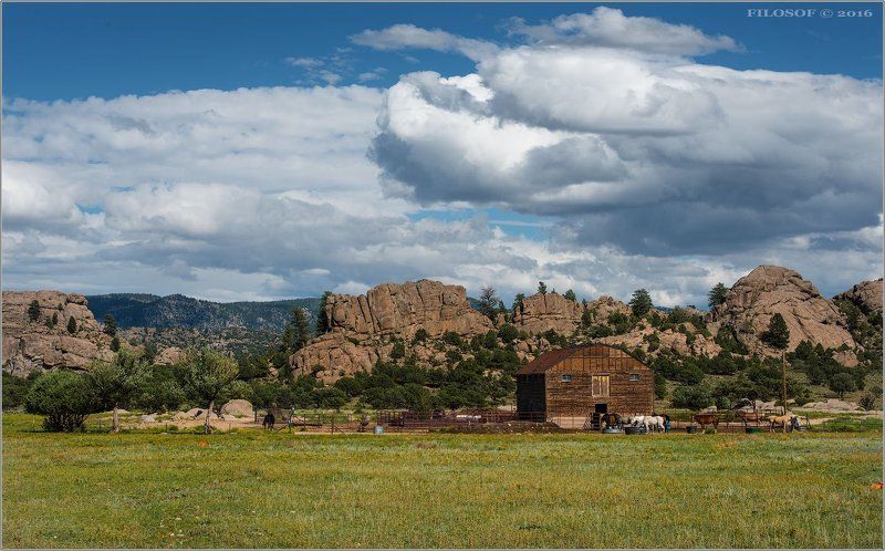 Из жизни ковбоев. США. \