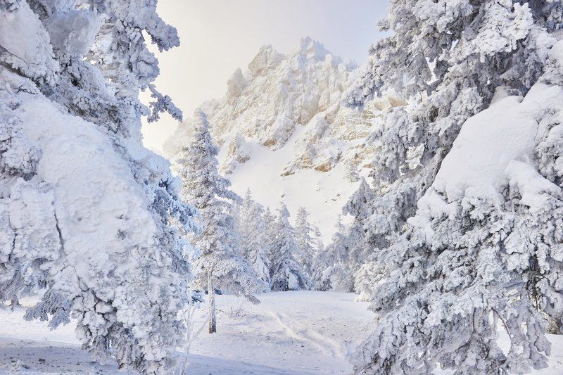 урал, таганай, откликной гребень  фото превью