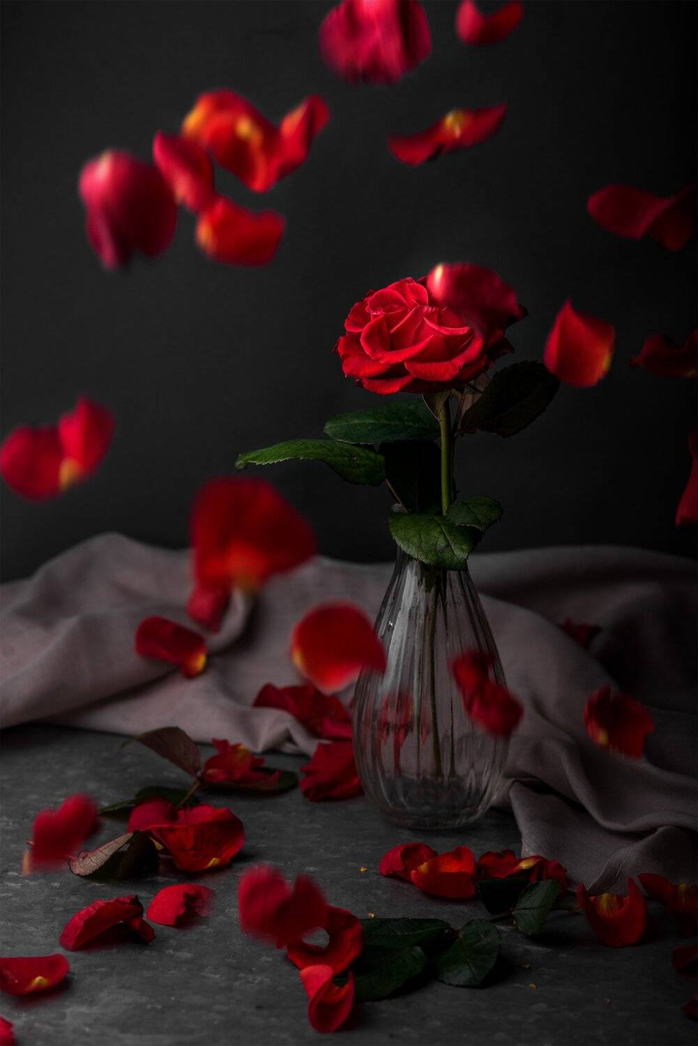 , Оксана Сибидло