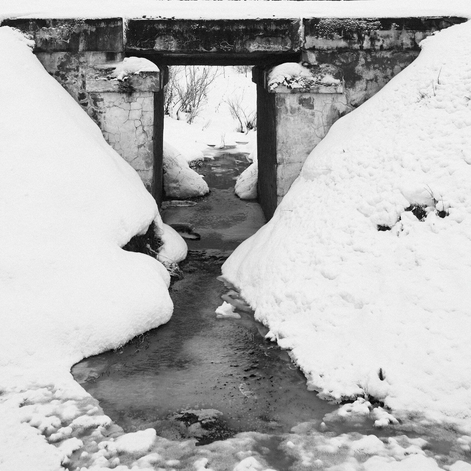 , Цвелёв Дмитрий