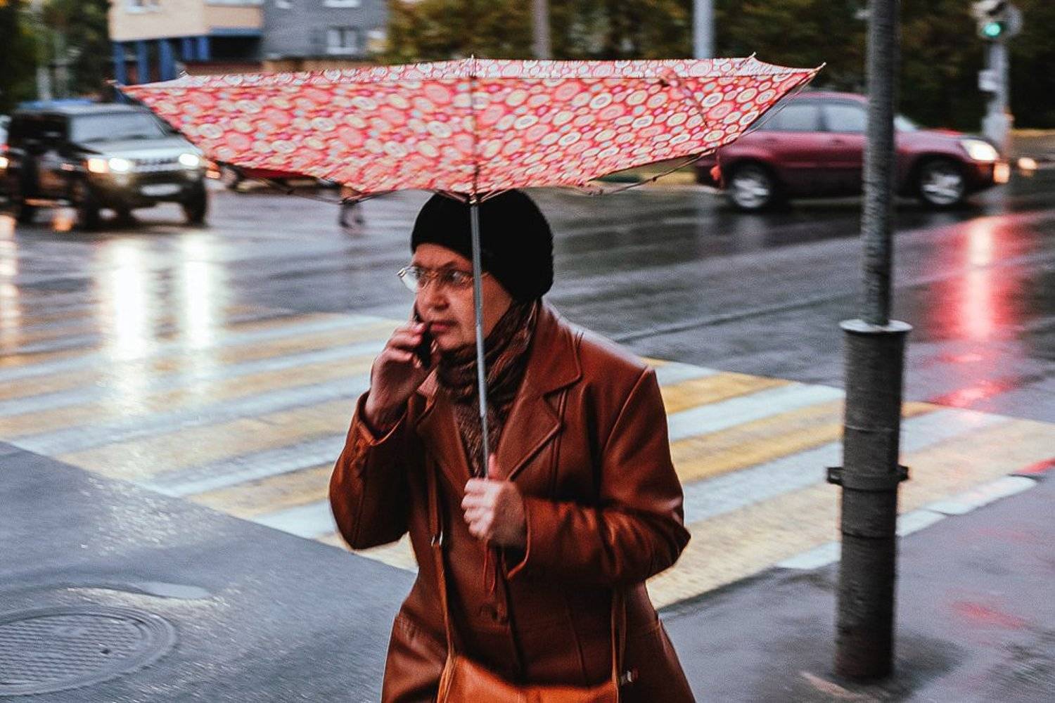 , Большаков Илья