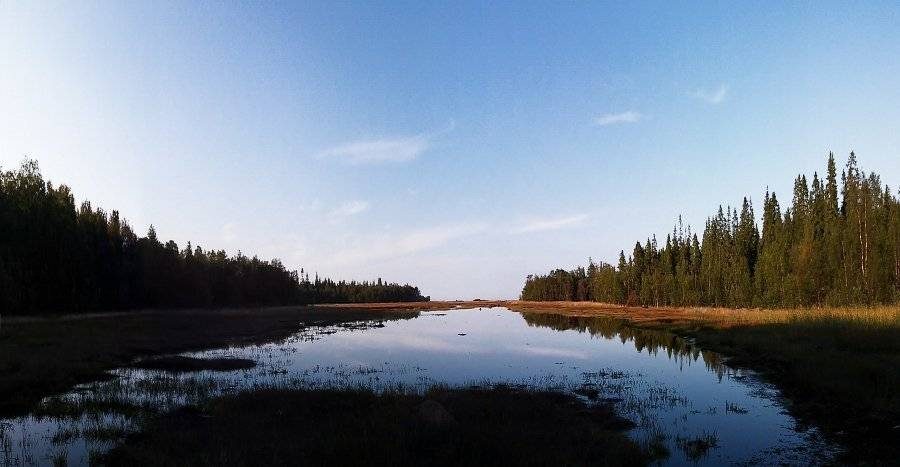 #nature #sky #sun #summer #beach #beautiful #pretty #sunset #sunrise #blue #flowers #night #tree #twilight #clouds #beauty #light #cloudporn #photooftheday #love #green #skylovers #dusk #weather #day #red #iphonesia #mothernature, Подойницин Геннадий