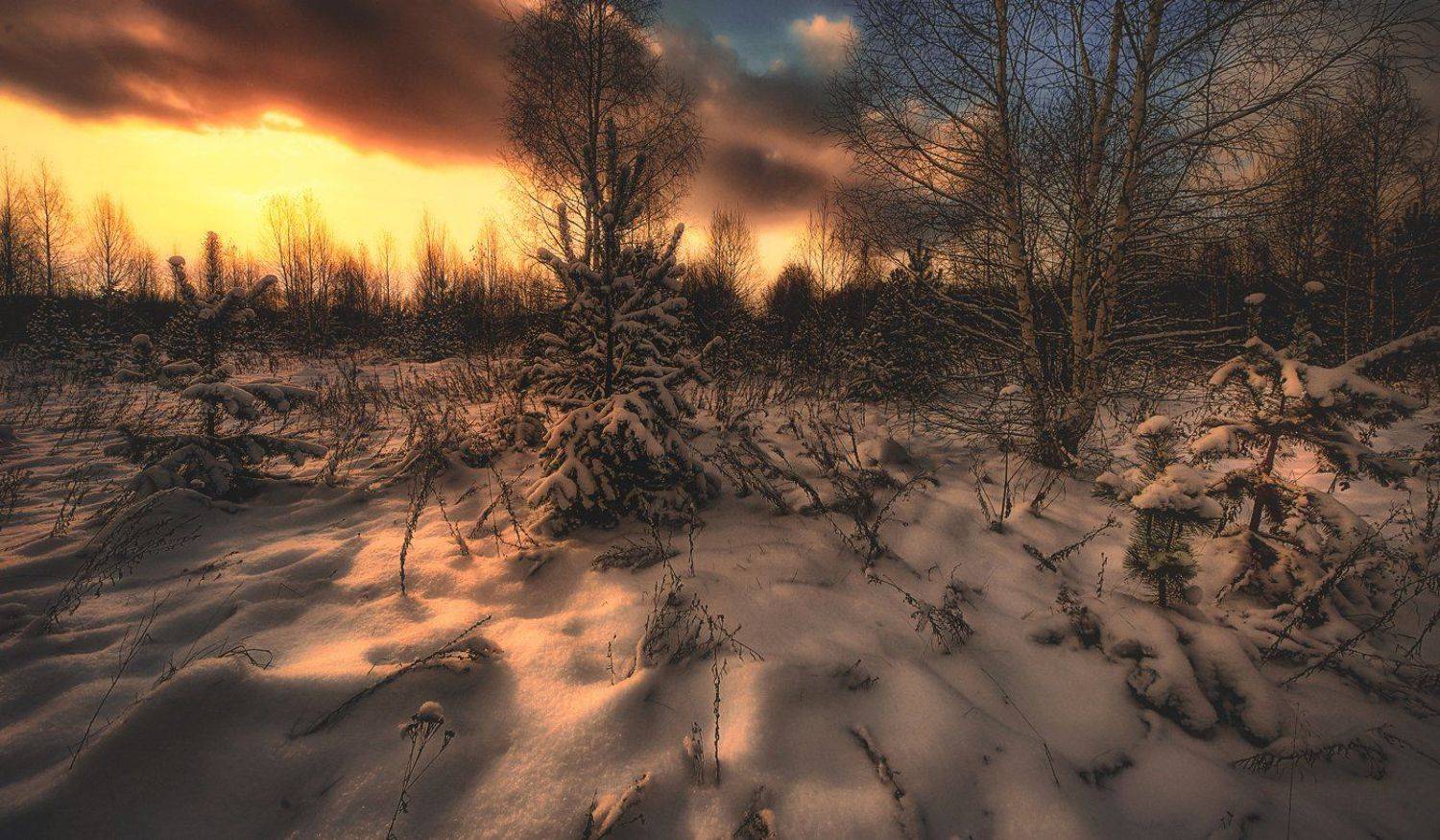 , Сергей (Bekr)