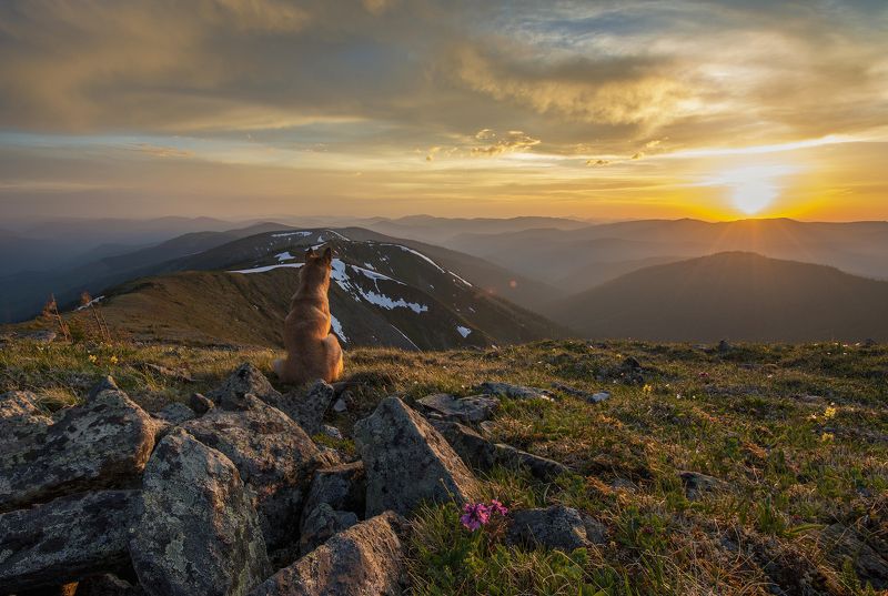 сибирь, хакасия, хребет шаман, закат, пейзаж Мечтатель фото превью