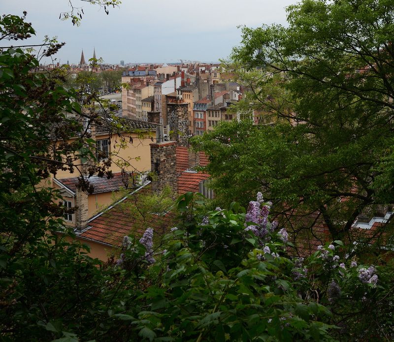 lyon Крыши Лиона фото превью