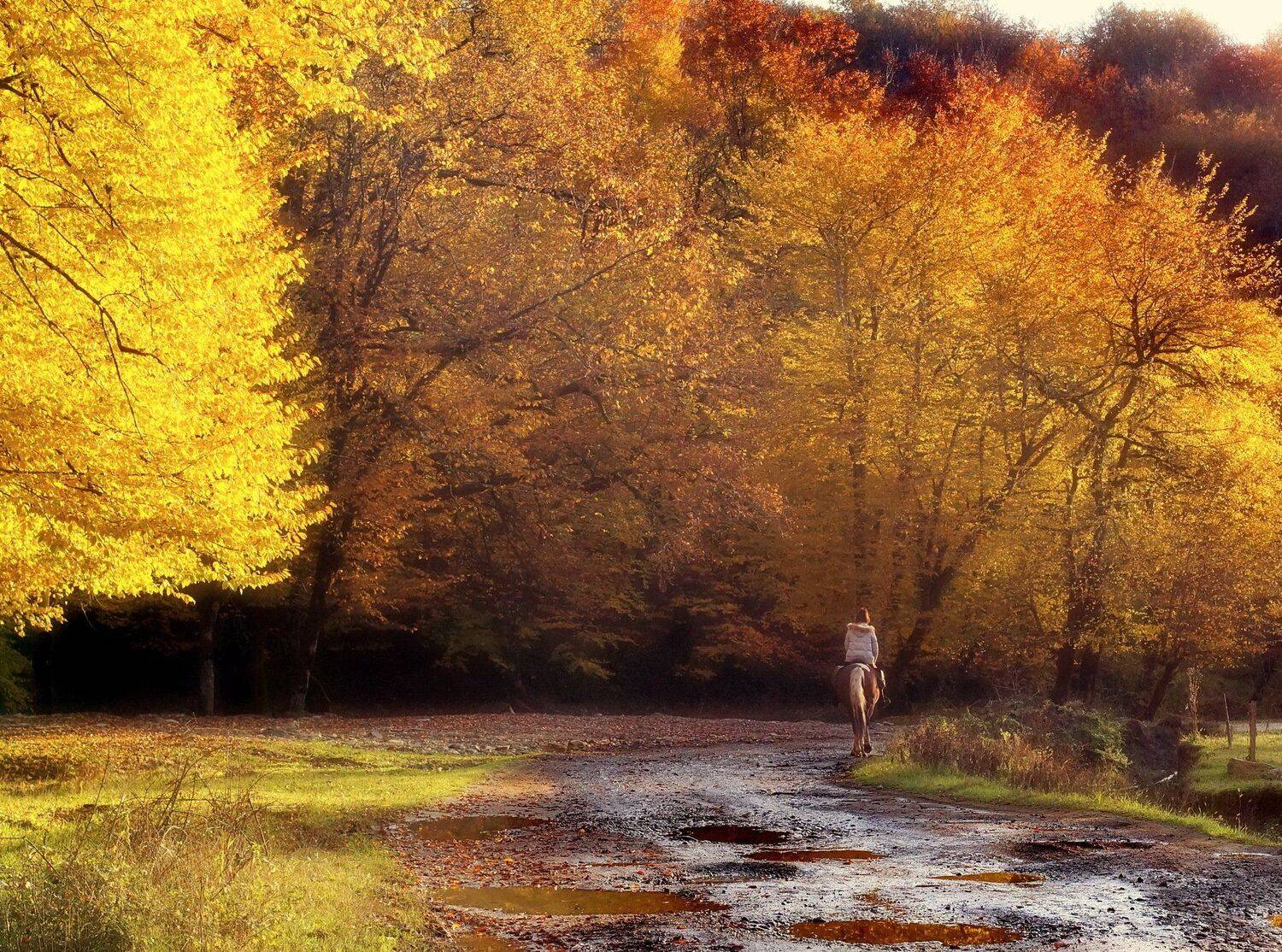 осень дорога всадник, Евгений Никишин