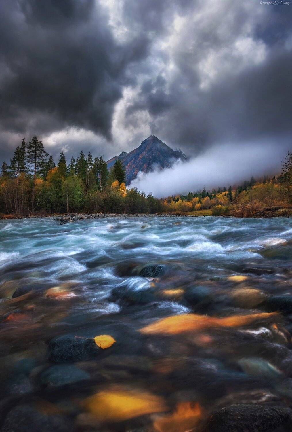 , Алексей Дранговский