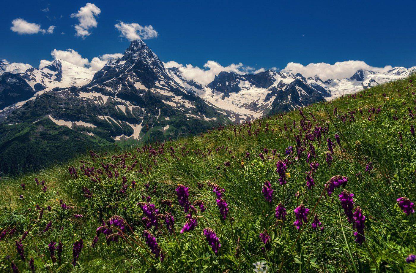 , Игорь Мелекесцев