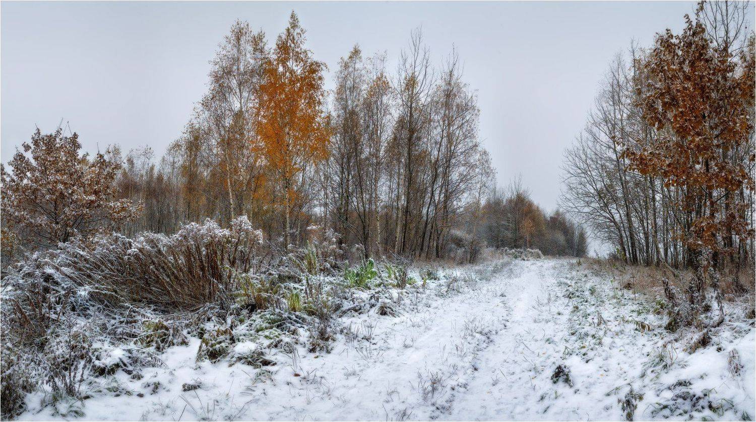 утро, осень, снег,, Сергей Шабуневич