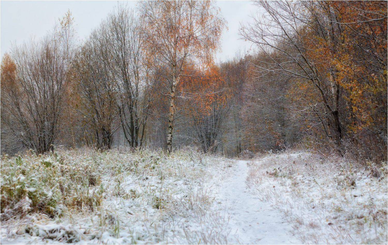 утро, осень, снег,, Сергей Шабуневич