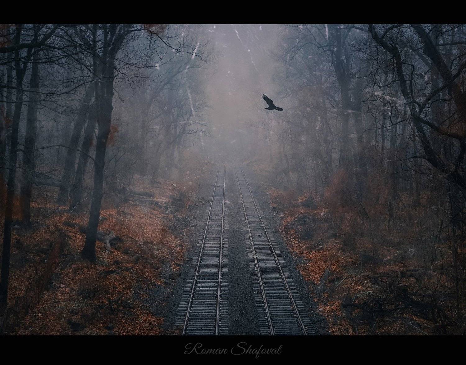 роман шафовал, nyc, Роман