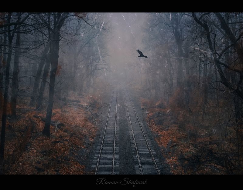 роман шафовал, nyc загадка старого парка.... фото превью