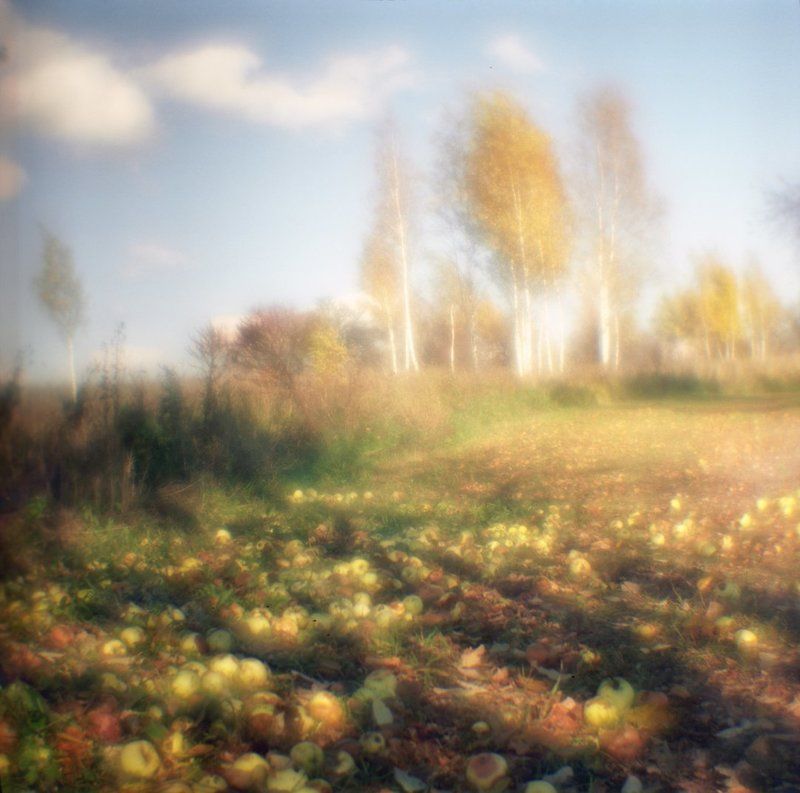 6х6, art photo, artwork, autumn, beautiful, film 120, fine art, forest, medium format, monolens, no photoshop, аллея, аналоговая, живописная, золотая осень, мистическая, монокль, октябрь, парк, пейзаж, пленка, романтика, средний формат, эксперименты, ябло Осень через монокль на среднеформатную камеру... фото превью