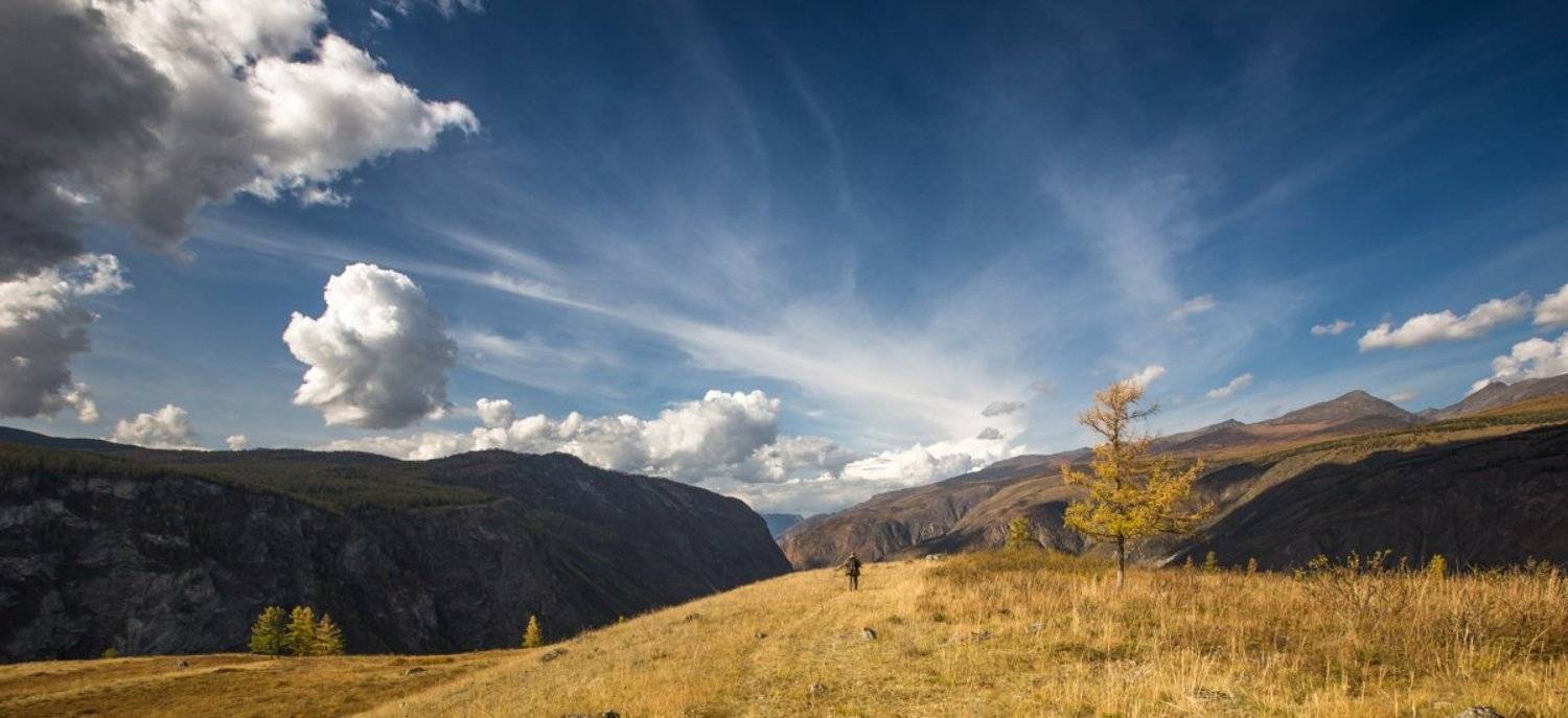 , Ирина Назарова