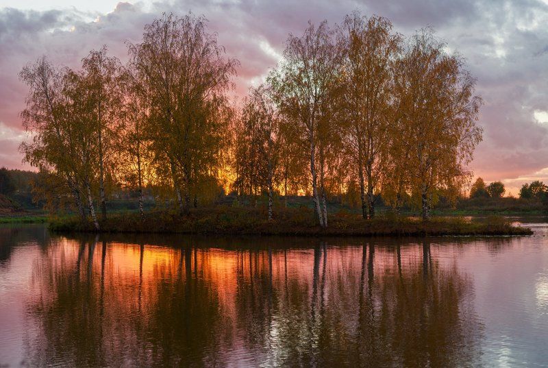 Берёзовый остров фото превью