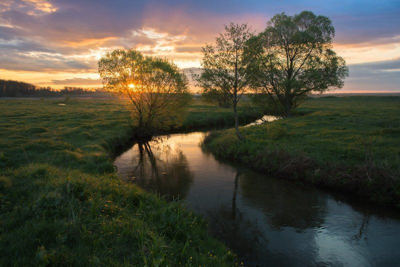Весеннее утро... фото превью