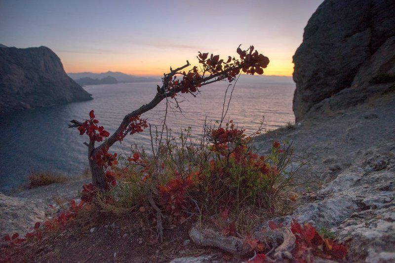 крым, море, горы, свет, закат, рассвет, природа, осень *** фото превью