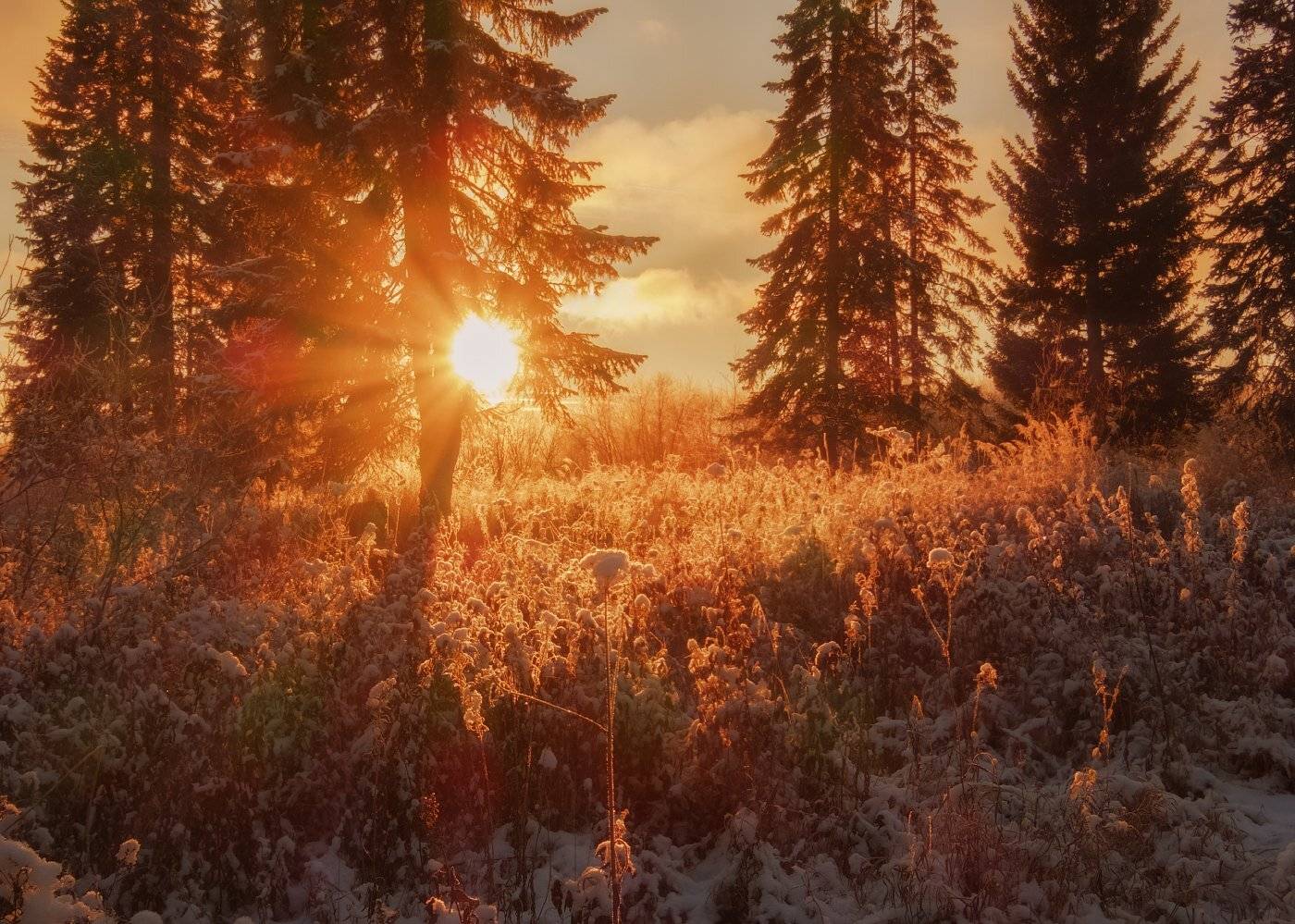 , Игорь Подобаев