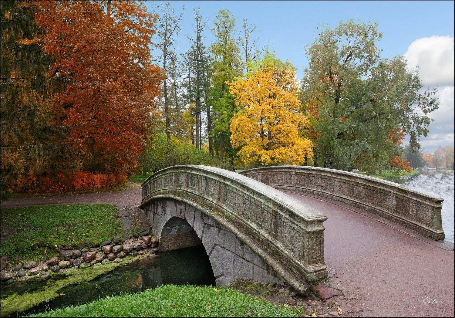 мост, Георгий Сапожников