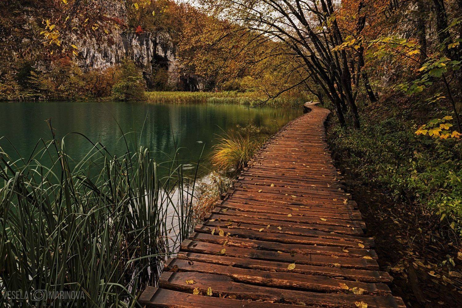 , Весела Маринова