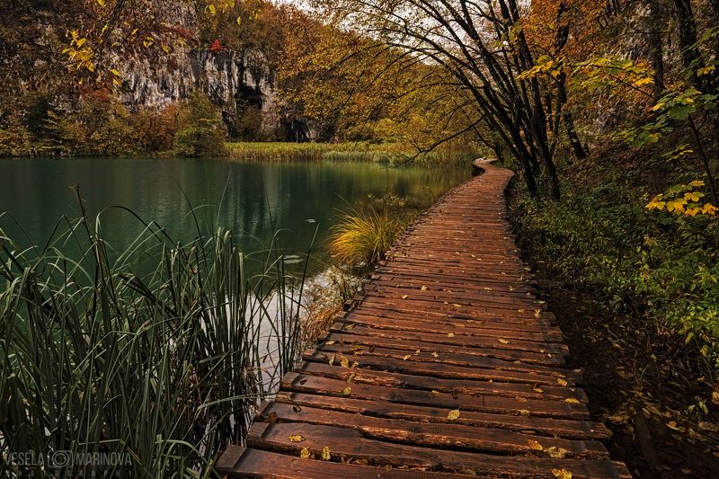 Плитвицкие озера фото превью