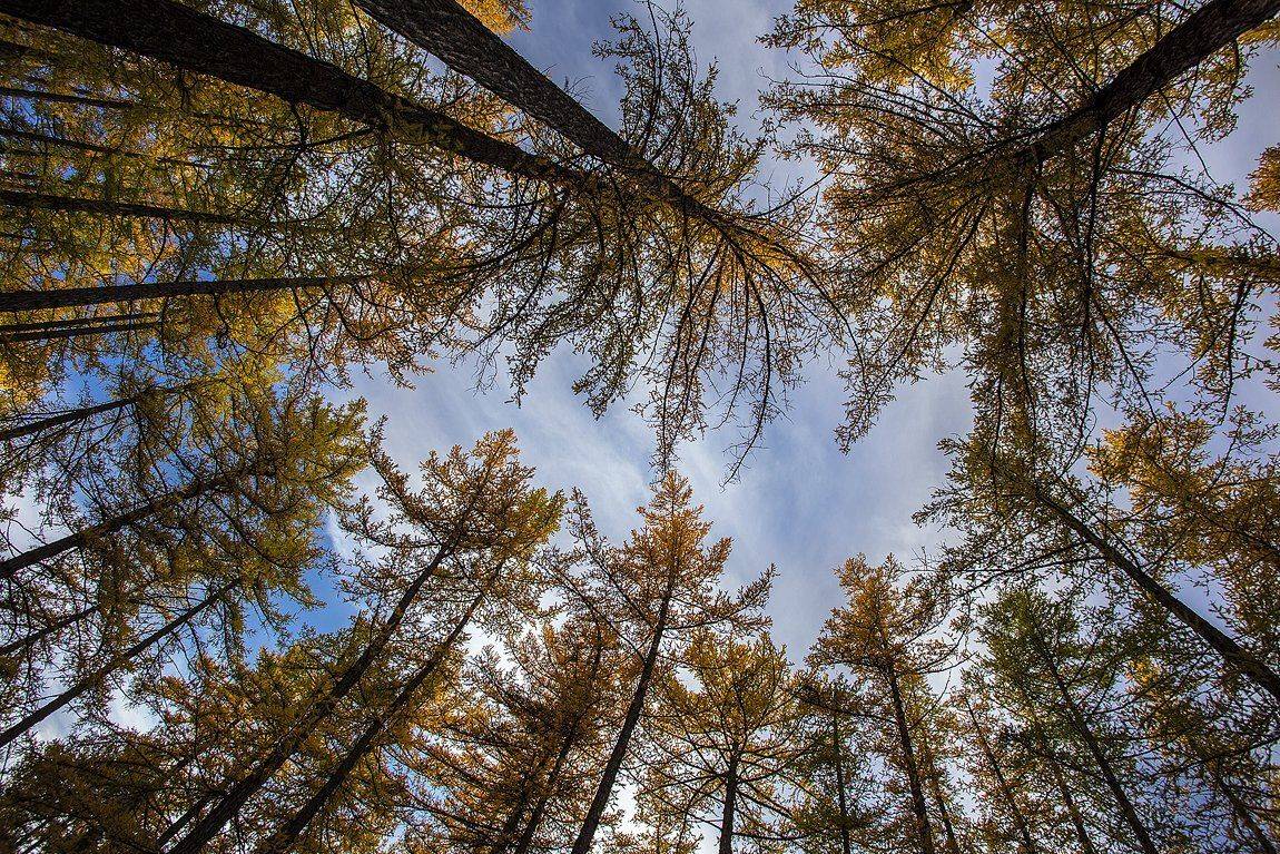 качурин орск, Качурин Алексей