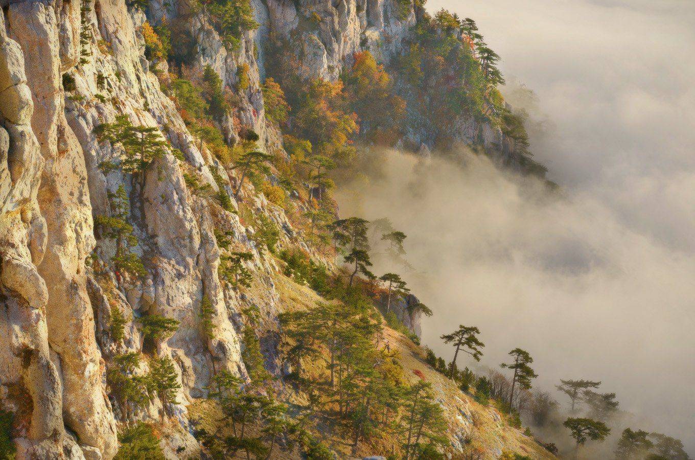 , Сергей Седов