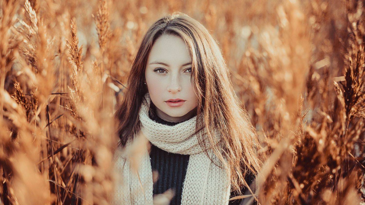 , Евгений Морозов