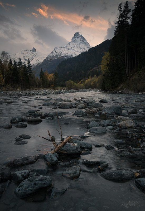 Белалакая фото превью