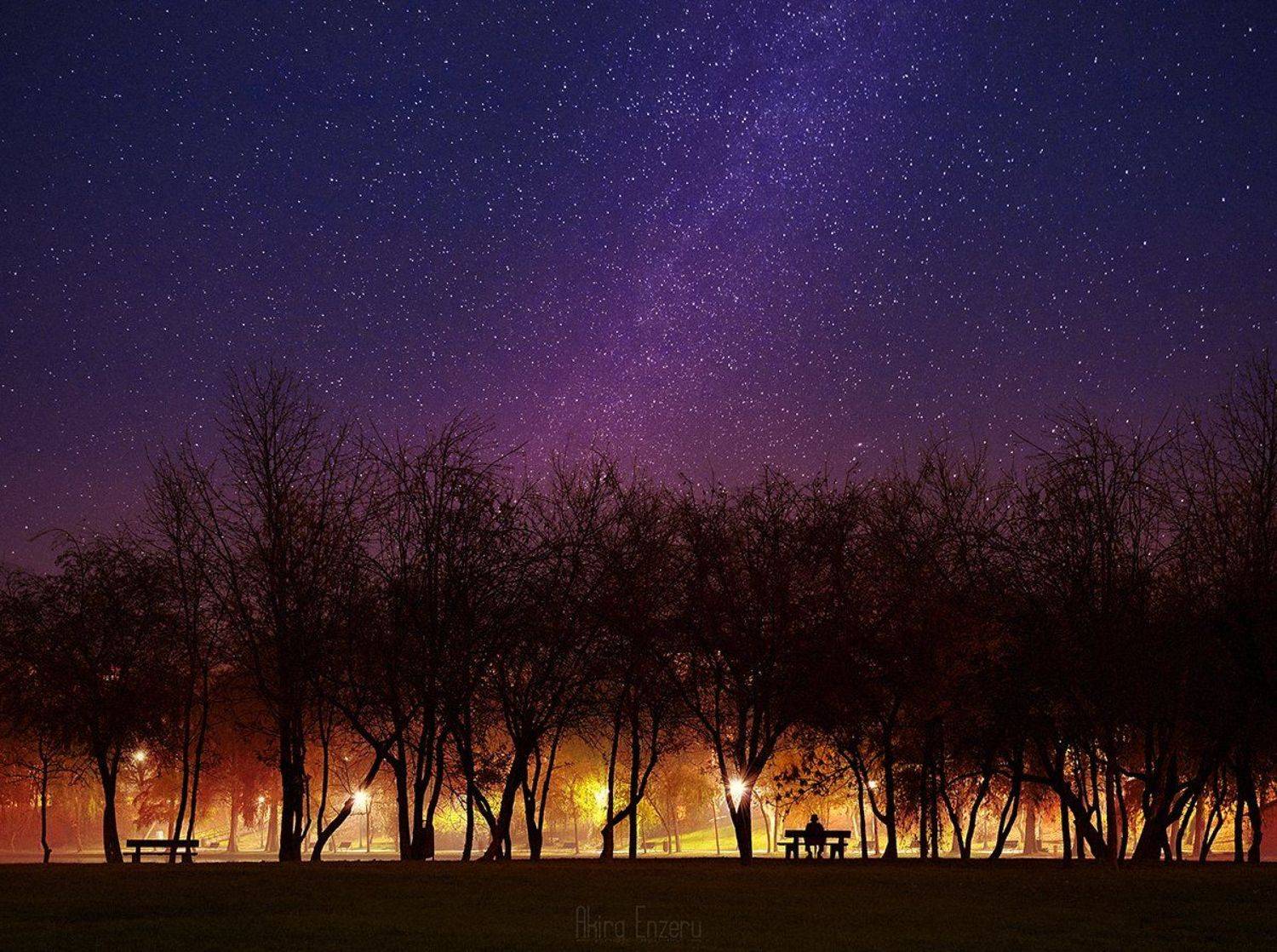 night, landscape,, Enzeru Akira