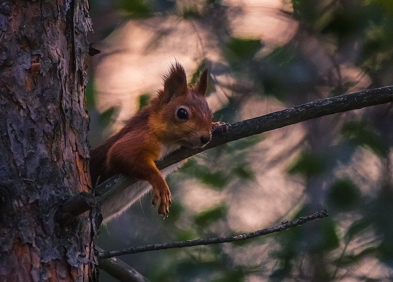 Ох устала фото превью