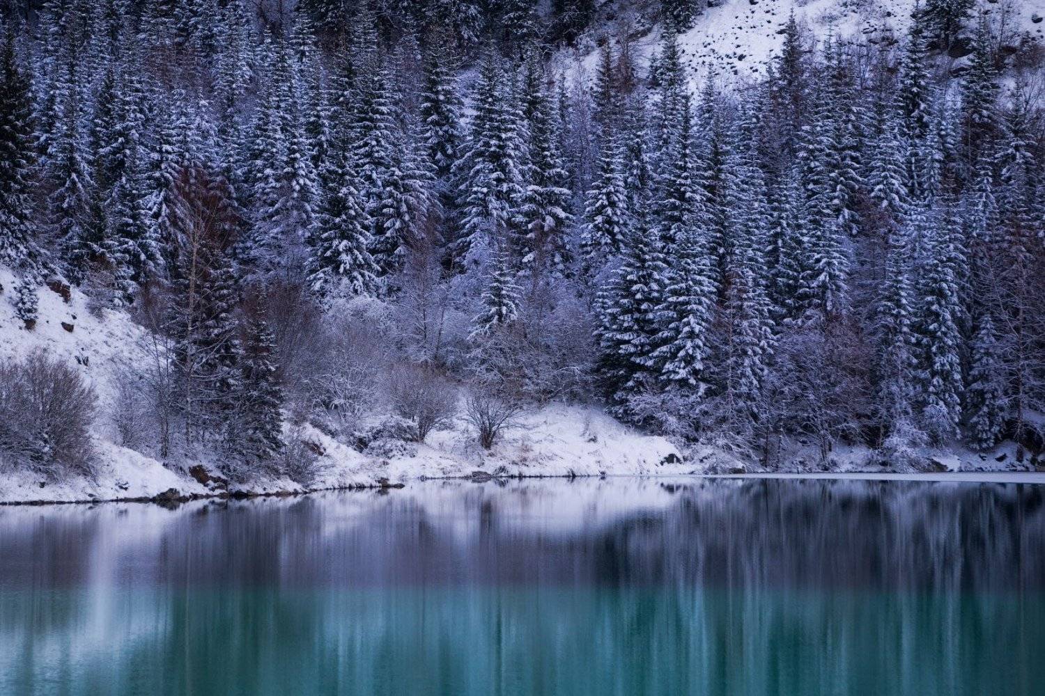 зима, озеро иссык, лес, снег, озеро, Ольга Кулакова