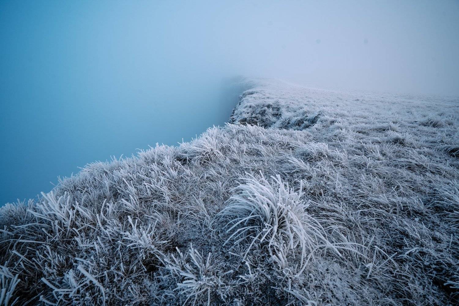 , Шапиев Магомед