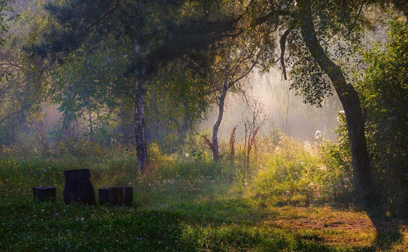 Сладостная нега фото превью