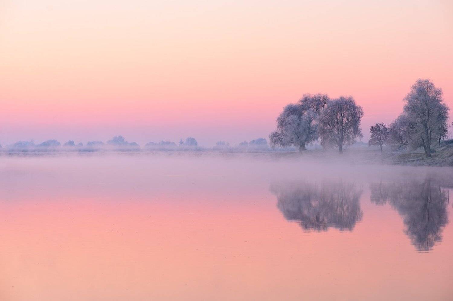 , Купреев Юрий