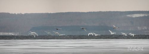 На озере Кандры-Куль