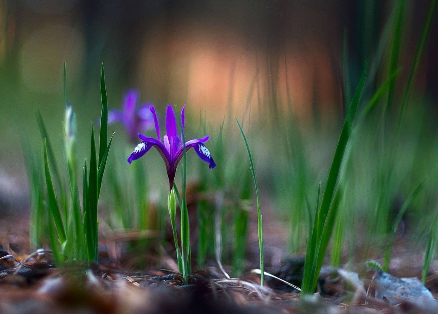 , Сергей Брагин