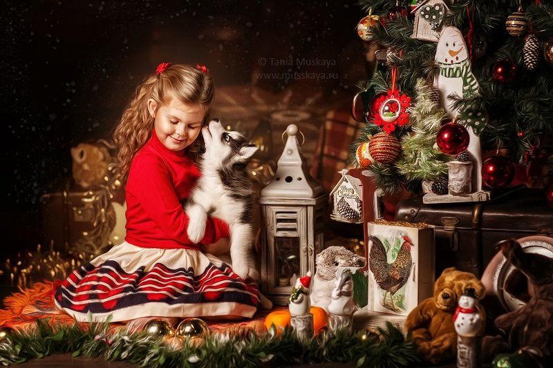 новогодняя фотосессия Перед рождеством фото превью