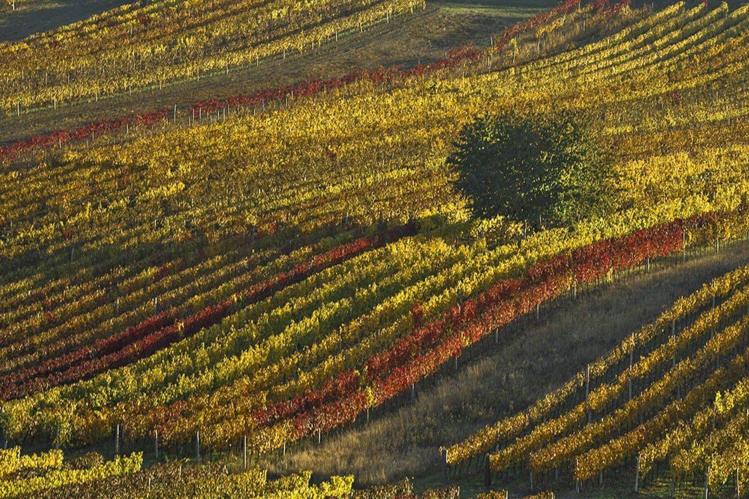 , Владимир K.